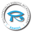 RAMSES-Logo